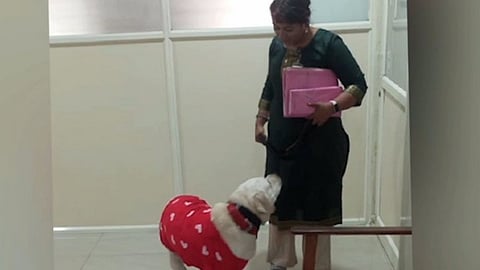 Chief Minister's Office orders action against doctor who brought pet dog to hospital