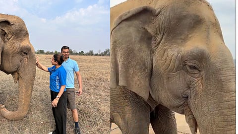 Asia's Oldest Elephant