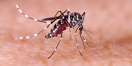 Institute of Advanced Virology Kerala made significant breakthrough in dengue fever prevention