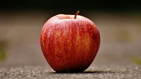 image of apple