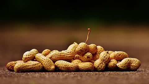image of Peanuts