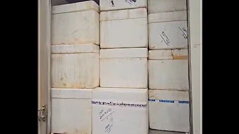  thermocol box with ganja