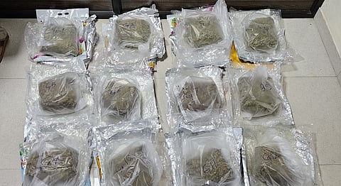 Woman arrested with hybrid ganja worth Rs 23 crore