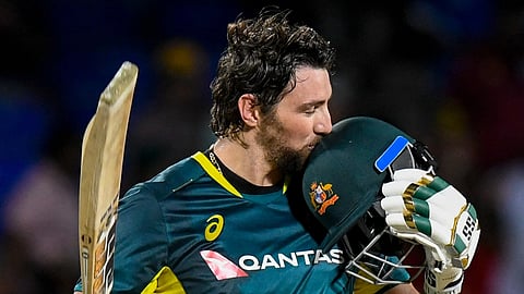 Tim David's century celebration