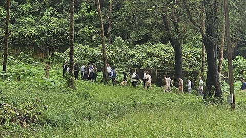 Partial skeletal remains found at 6th site