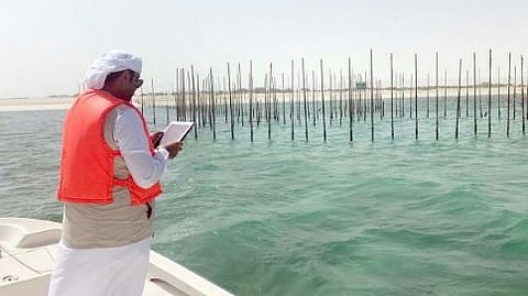 AI for fish farming