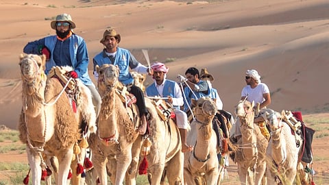 misra abu dhabi camel campaign