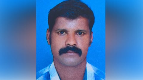 hornet attack, young man dies