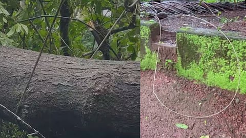 Woman Electrocuted by Fallen Power Line in Vadakara