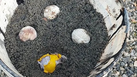 Explosion in school premises