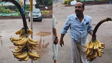 Chengalikodan Nendra Banana auction