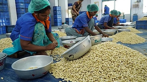 cashew nut factory