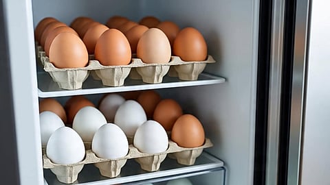 eggs in fridge
