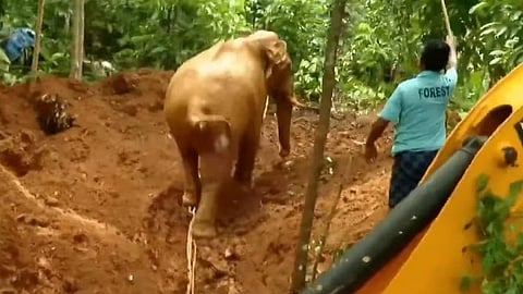 wild elephant falls into well rescued at kothamangalam