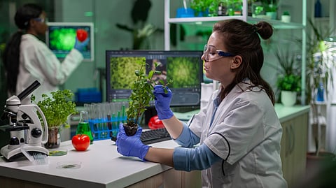 research lab and researchers PHD