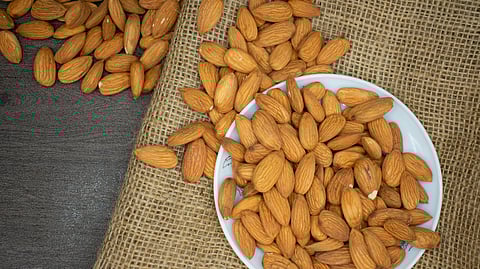 Brown Almond Nuts on White Plate
