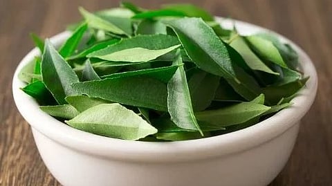 Curry leaves