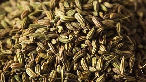 Fennel seeds