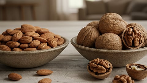 almond and walnut