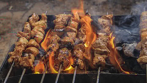 grilled chicken