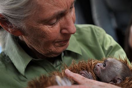Dame Jane Goodall