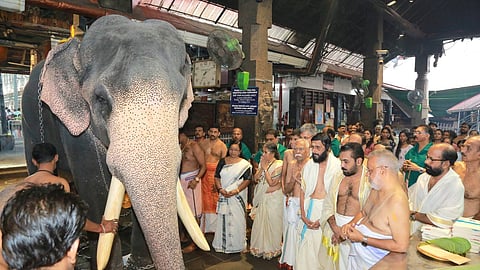 offering of elephant in Guruvayur temple