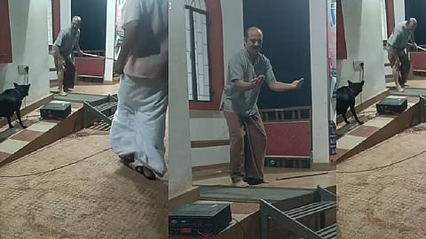 Artist bitten by dog ​​during play against stray dog attack