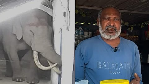 Tusker Padayappa attacks again in Munnar 