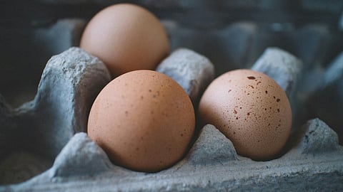 eggs