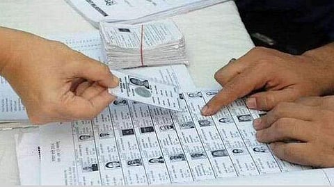 local body elections