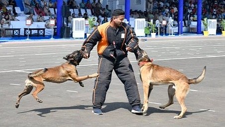 Dog training course
