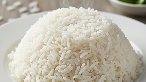 Rice in a plate