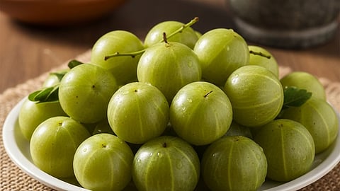 Amla Health Benefits