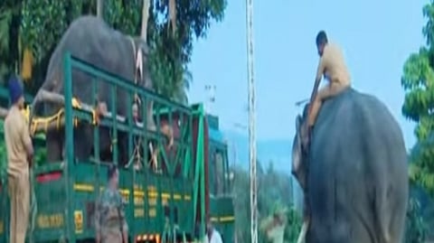 Wild elephants descend on Thrissur Kuthiran again