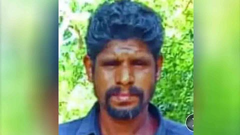 wasp attack 46 year old man died idukki