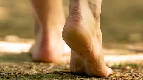 Foot Care in Diabetic patients