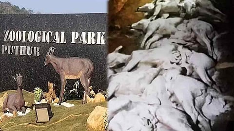 deer found dead inside Puthur Zoological Park 