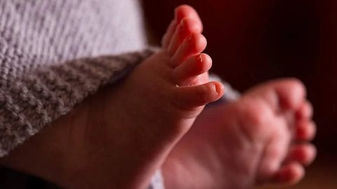 Stray Dog Found Roaming With Newborn's Body In Kanpur