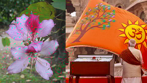 kovidara flower,  Prime Minister Narendra Modi during the Dhwajarohan ceremony at the Ram Temple