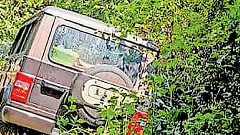 Google Map to the hospital, but ended up in the forest