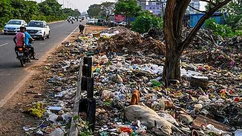 Waste problems can be reported immediately