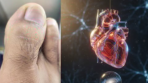 heart diseases and Hair on the toes