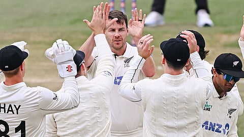 New Zealand team celebrating a wicket