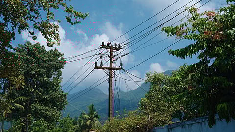 Electricity Board Investigates Fatal Incident on Suspended Line in Konni
