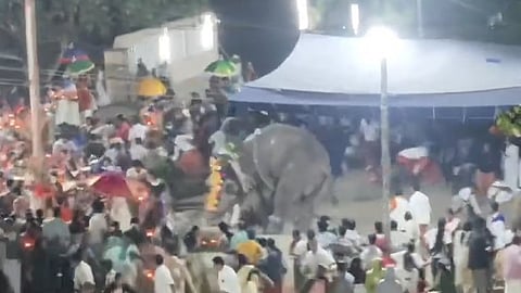 elephant turned violent During the festival at Pulpally Sita Devi Temple