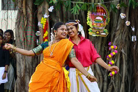 Pongal festival 2026