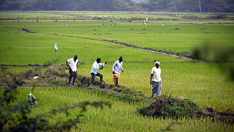 Crop Insurance scheme