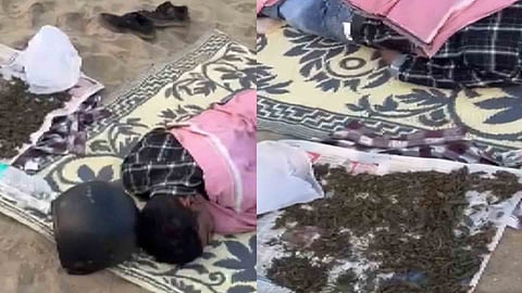 young man was arrested with Cannabis kozhikode