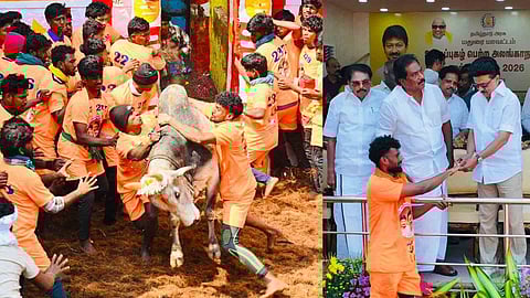 tamil nadu CM Stalin announces govt job for top bull tamers jallikattu