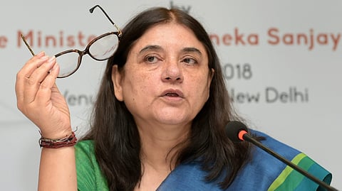 Menaka Gandhi